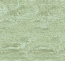 Линолеум Polyflor Standart XL 9080 фото 1 | FLOORDEALER