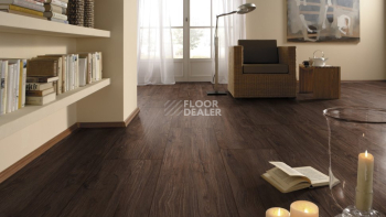 Kronotex Exquisit Plus d4710 Орех Матаро фото 4 | FLOORDEALER