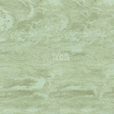 Линолеум Polyflor Standart XL 9080 фото 1 | FLOORDEALER