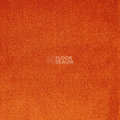 Ковролин Edel Twister 135 фото 1 | FLOORDEALER