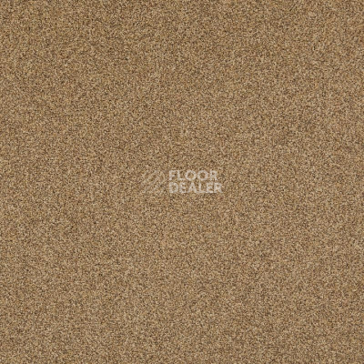 Ковролин Betap City Life 69 фото 1 | FLOORDEALER