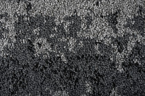 Balsan Vision Canopy to Bark 910 Vision фото 3 | FLOORDEALER