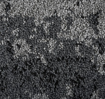 Balsan Vision Canopy to Bark 910 Vision фото 3 | FLOORDEALER