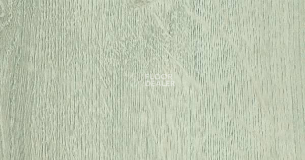 Ламинат Haro Daily Edition 7 mm ДУБ БРЕДА СВЕТЛО-СЕРЫЙ  541339 фото 1 | FLOORDEALER
