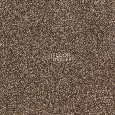 Ковровая плитка Desso Arcade Arcade B023 2922 фото 1 | FLOORDEALER