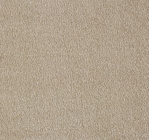 Ковролин AW Masquerade Euphoria 36 фото 1 | FLOORDEALER