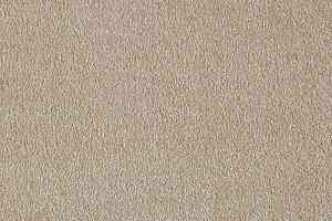 Ковролин AW Masquerade Euphoria 36 фото  | FLOORDEALER