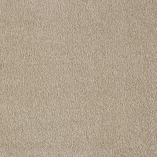 Ковролин AW Masquerade Euphoria 36 фото 1 | FLOORDEALER