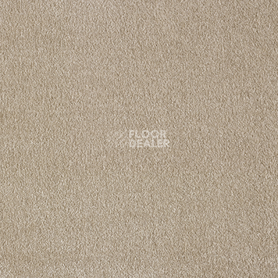 Ковролин AW Masquerade Euphoria 36 фото 1 | FLOORDEALER