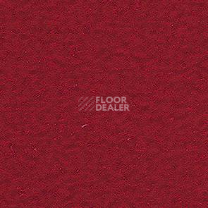 Ковролин Balsan Altitude Altitude 575 фото 1 | FLOORDEALER