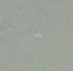 Forbo Marmoleum Solid Concrete 3762 loam фото 1 | FLOORDEALER