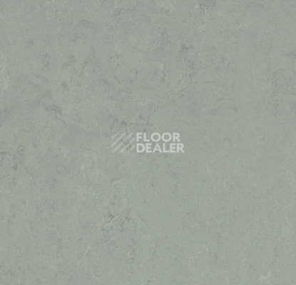Линолеум Forbo Marmoleum Solid Concrete 3762 loam фото 1 | FLOORDEALER