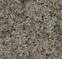 Ковролин Bell Rock Beaulieu of America 1445 фото 1 | FLOORDEALER