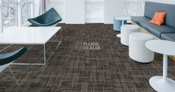 Casini Casini 548 фото 2 | FLOORDEALER