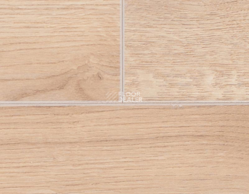 Ламинат Rooms Suite 242 / 8мм Дуб Луксор золотистый RV822WA фото 3 | FLOORDEALER