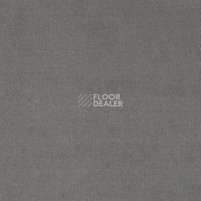 Ковролин Tapibel Casa 24846 фото 1 | FLOORDEALER