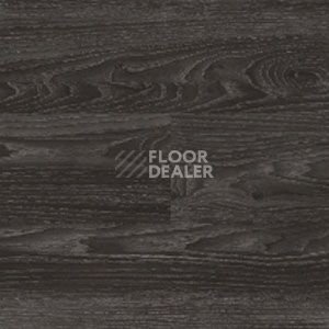 Линолеум Polyflor Expona Wood 6183 фото 1 | FLOORDEALER