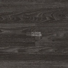 Линолеум Polyflor Expona Wood 6183 фото 1 | FLOORDEALER