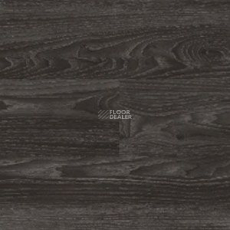 Polyflor Expona Wood 6183 фото 1 | FLOORDEALER