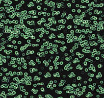 Ковролин Flotex Sottsass Bacteria 990102 фото 1 | FLOORDEALER