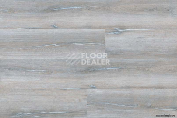 Wood Xl Oak  Duna Grey фото 4 | FLOORDEALER