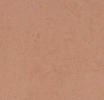 Линолеум Forbo Eternal Original 68762 papaya фото 1 | FLOORDEALER