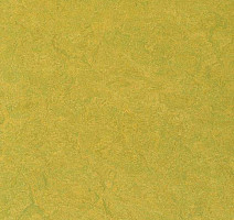 Линолеум Forbo Marmoleum Sport 83878 фото 1 | FLOORDEALER