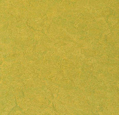 Линолеум Forbo Marmoleum Sport 83878 фото 1 | FLOORDEALER