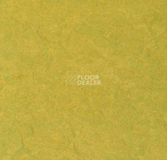Линолеум Forbo Marmoleum Sport 83878 фото 1 | FLOORDEALER