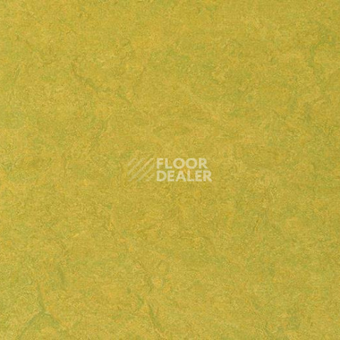 Линолеум Forbo Marmoleum Sport 83878 фото 1 | FLOORDEALER