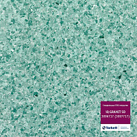 Линолеум Tarkett iq Granit Sd 3096 717 (3097 717) фото 1 | FLOORDEALER