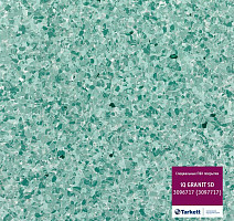 Линолеум Tarkett iq Granit Sd 3096 717 (3097 717) фото 1 | FLOORDEALER