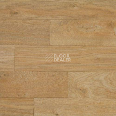 Линолеум Lg Bright BR92101-01 фото 1 | FLOORDEALER