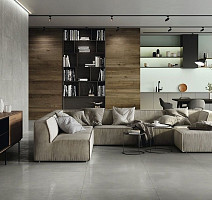 Evo Evo Grey 60120 Rec 60x120 фото 2 | FLOORDEALER