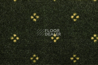 Haima Chic 05 фото 2 | FLOORDEALER