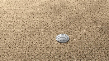 Ковролин Vorwerk Superior 1071 Vorwerk 8k28 фото 1 | FLOORDEALER