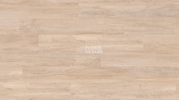 Creation 70 Clic 0797_Cervino_Oak_Beige фото 1 | FLOORDEALER