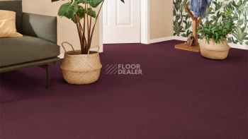 Vorwerk Superior 1071 Vorwerk 1n80 фото 2 | FLOORDEALER