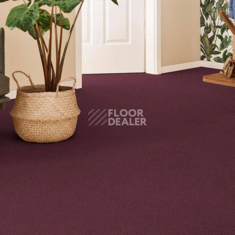 Vorwerk Superior 1071 Vorwerk 1n80 фото 2 | FLOORDEALER