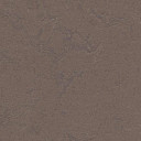 Линолеум Forbo Marmoleum Неожиданная природа 3568  | FLOORDEALER