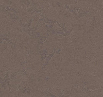 Линолеум Forbo Marmoleum Неожиданная природа 3568 фото 1 | FLOORDEALER