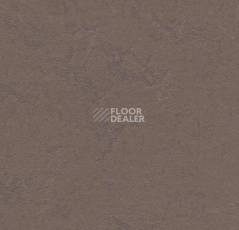 Линолеум Forbo Marmoleum Неожиданная природа 3568 фото 1 | FLOORDEALER