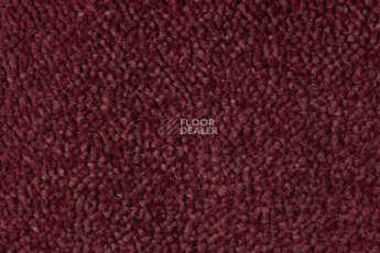 Ковролин Edel Vanity 155 фото 1 | FLOORDEALER