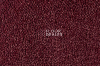 Ковролин Edel Vanity 155 фото 1 | FLOORDEALER
