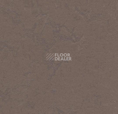 Линолеум Forbo Marmoleum Неожиданная природа 3568 фото 1 | FLOORDEALER