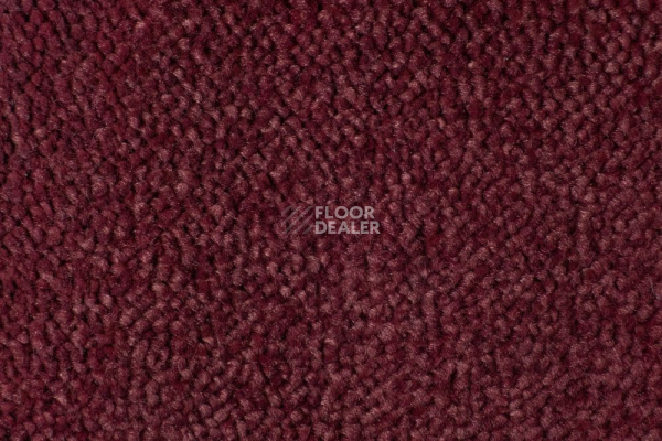 Ковролин Edel Vanity 155 фото 1 | FLOORDEALER