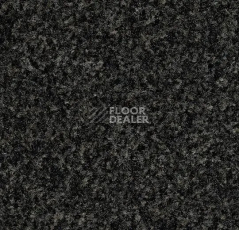 Грязезащитные покрытия Forbo Coral Pro-fit Quattro в плитке свободной укладки 5721 Hurricane Grey фото 1 | FLOORDEALER