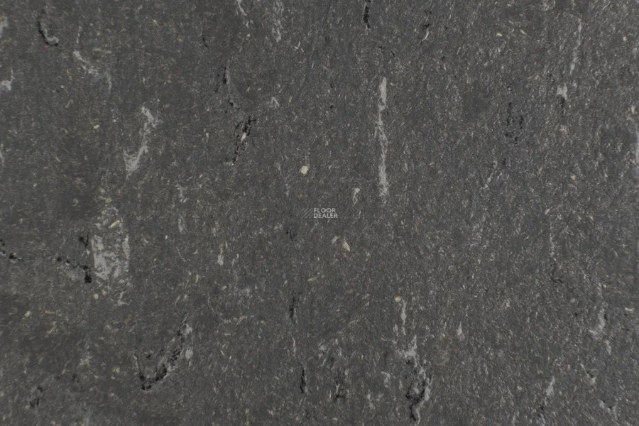 Forbo Marmoleum Solid Piano 3607-360735 grey dusk фото 2 | FLOORDEALER