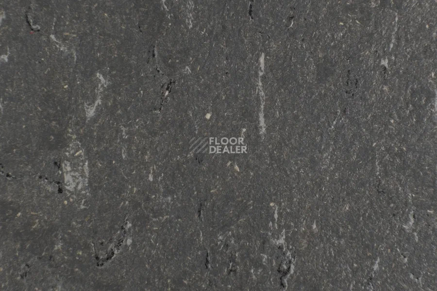 Forbo Marmoleum Solid Piano 3607-360735 grey dusk фото 2 | FLOORDEALER