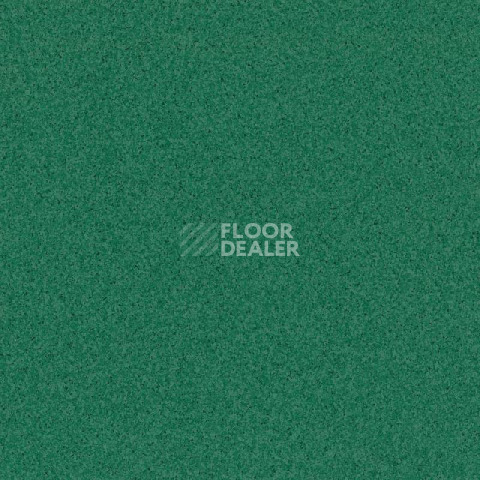 Линолеум Tarkett Primo Plus 312 фото 1 | FLOORDEALER